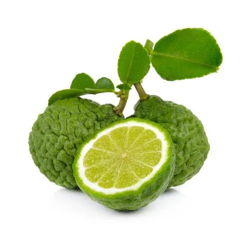 Bergamot Certified Organic Oil 3